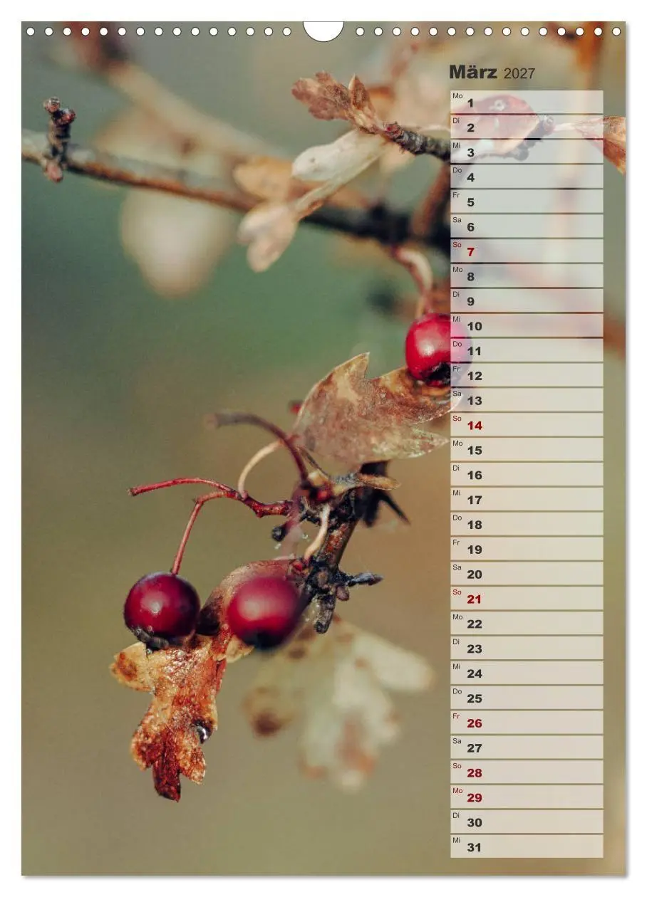 Bild: 9783569607064 | Kalender - Natur im Detail (Wandkalender 2027 DIN A3 hoch),...