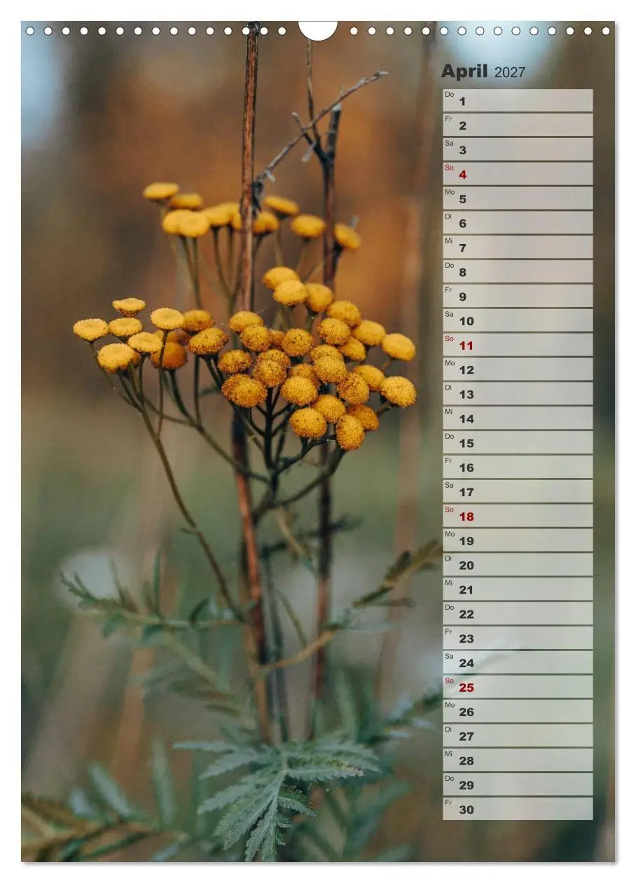 Bild: 9783569607064 | Kalender - Natur im Detail (Wandkalender 2027 DIN A3 hoch),...