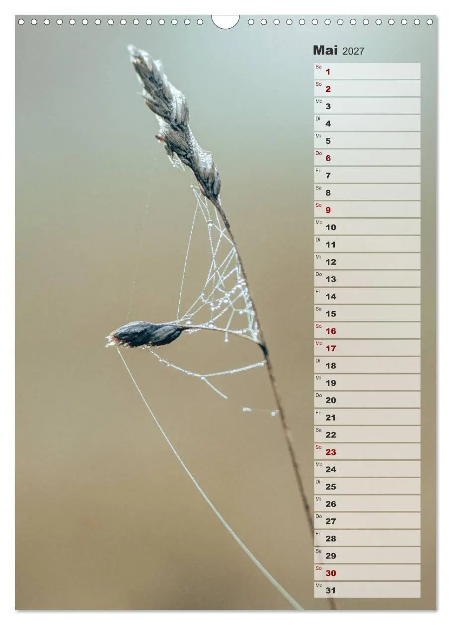 Bild: 9783569607064 | Kalender - Natur im Detail (Wandkalender 2027 DIN A3 hoch),...