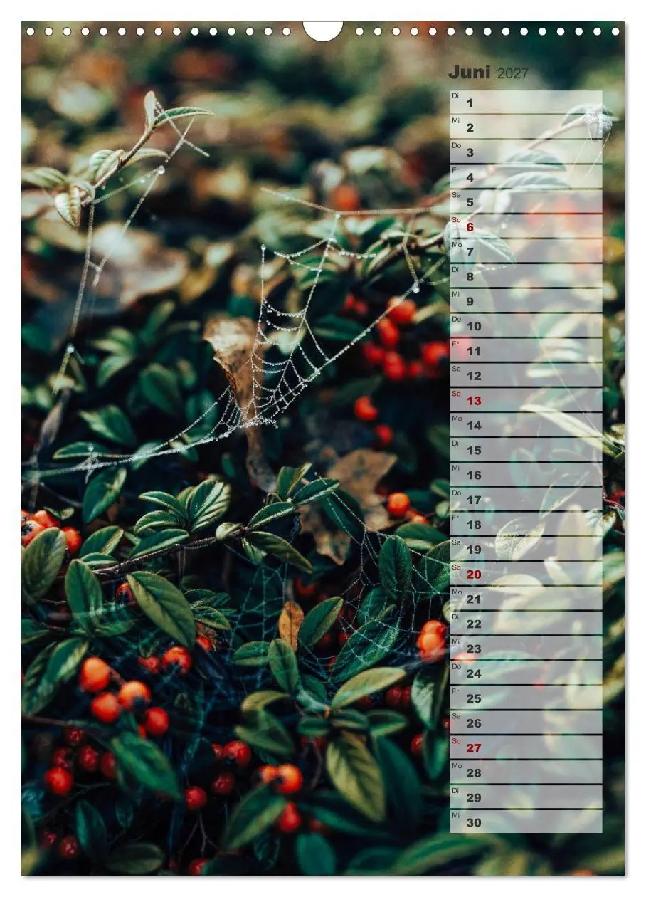 Bild: 9783569607064 | Kalender - Natur im Detail (Wandkalender 2027 DIN A3 hoch),...