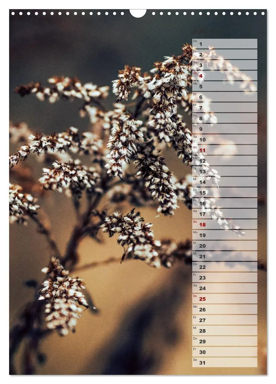 Bild: 9783569607064 | Kalender - Natur im Detail (Wandkalender 2027 DIN A3 hoch),...