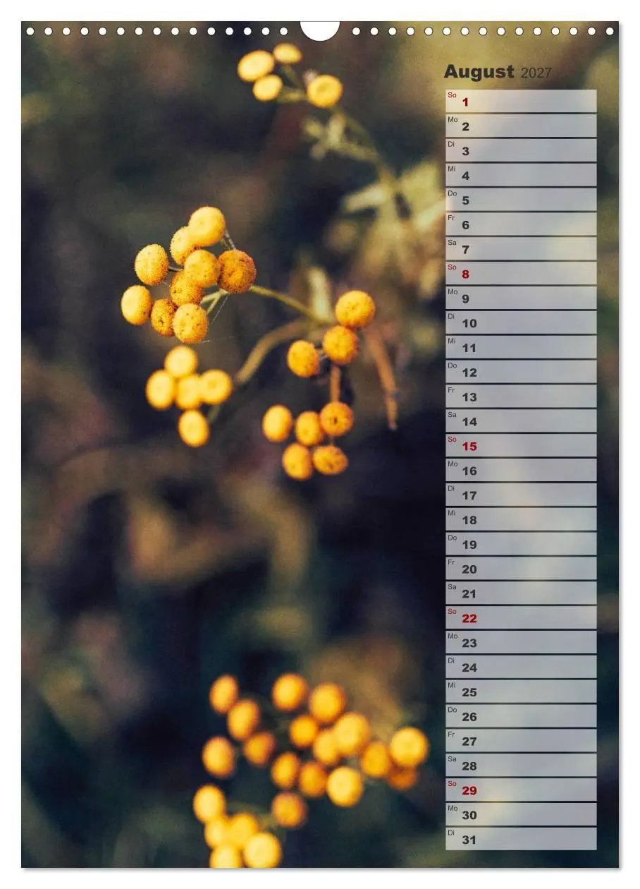Bild: 9783569607064 | Kalender - Natur im Detail (Wandkalender 2027 DIN A3 hoch),...