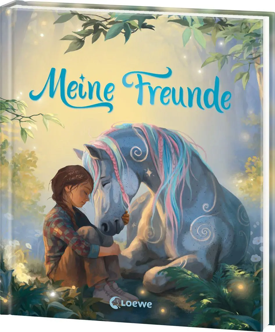 Bild: 9783743227064 | Meine Freunde (Wundermähne) | Jana Hoch | Buch | Wundermähne | 80 S.