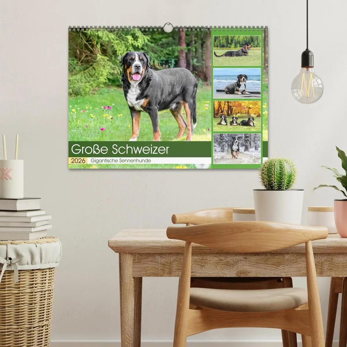 Bild: 9783457347164 | Große Schweizer - Gigantische Sennenhunde (Wandkalender 2026 DIN A3...