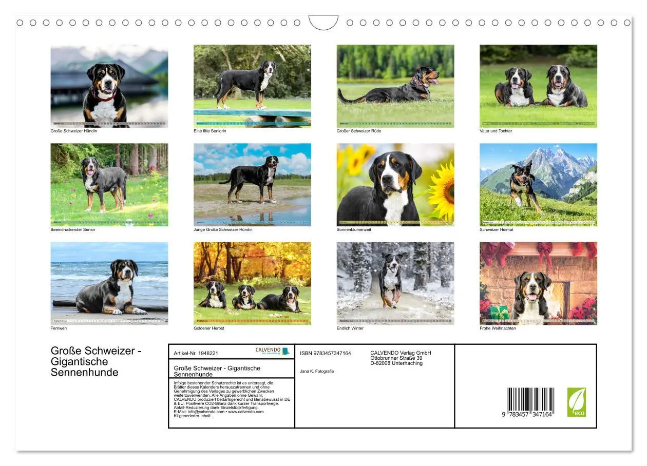 Bild: 9783457347164 | Große Schweizer - Gigantische Sennenhunde (Wandkalender 2026 DIN A3...