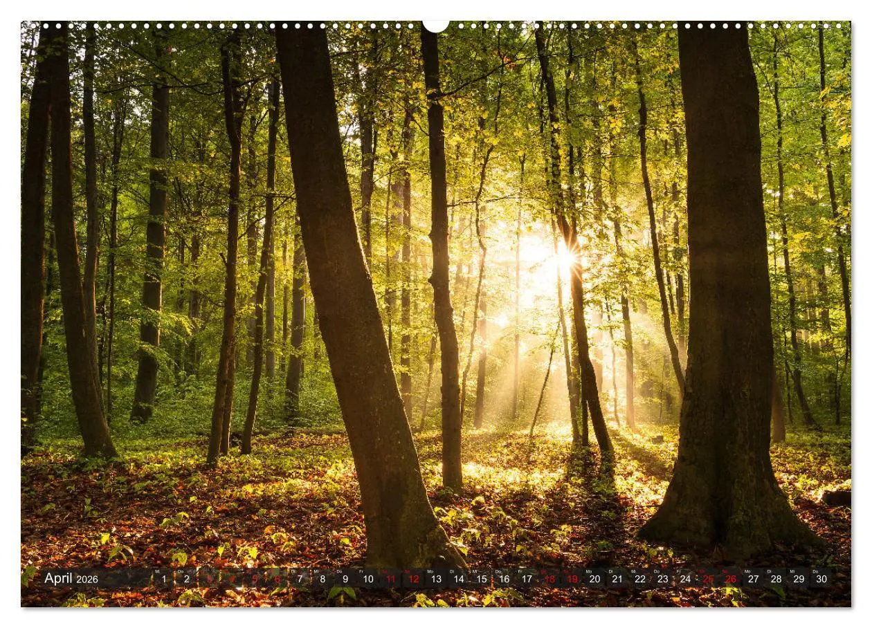Bild: 9783457417164 | Augsburg - Stadt und Land (hochwertiger Premium Wandkalender 2026...