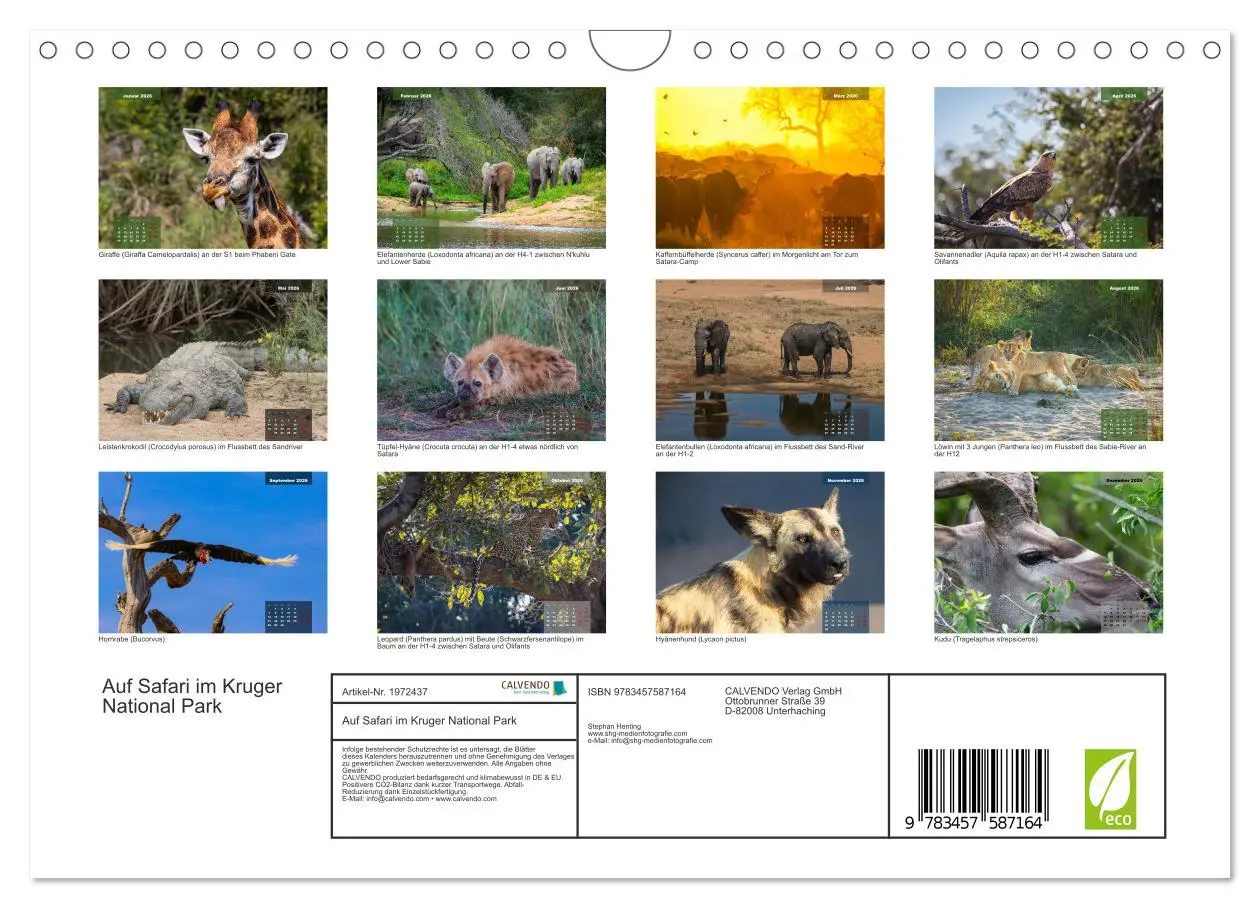 Bild: 9783457587164 | Auf Safari im Kruger National Park (Wandkalender 2026 DIN A4 quer),...