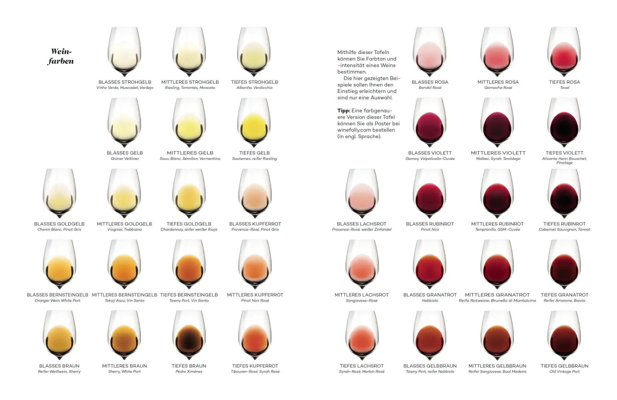 Bild: 9783453207264 | Der Master-Wein-Guide | Madeline Puckette (u. a.) | Buch | 320 S.