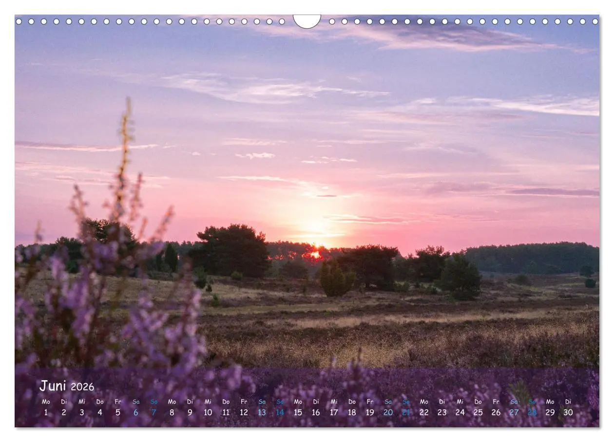 Bild: 9783457567364 | Im Herzen der Lüneburger Heide (Wandkalender 2026 DIN A3 quer),...