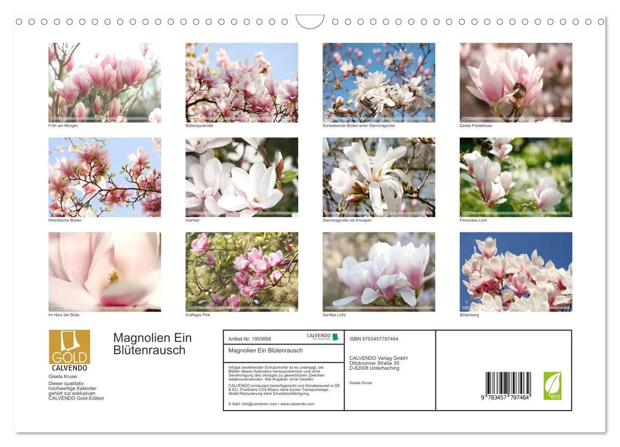 Bild: 9783457797464 | Magnolien Ein Blütenrausch (Wandkalender 2026 DIN A3 quer),...