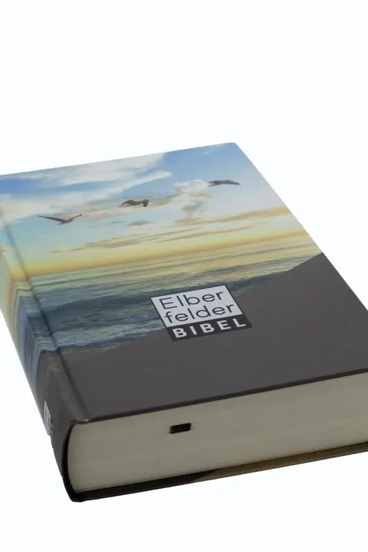 Bild: 9783417257564 | Elberfelder Bibel - Taschenausgabe, Motiv Möwen | Buch | 1616 S.