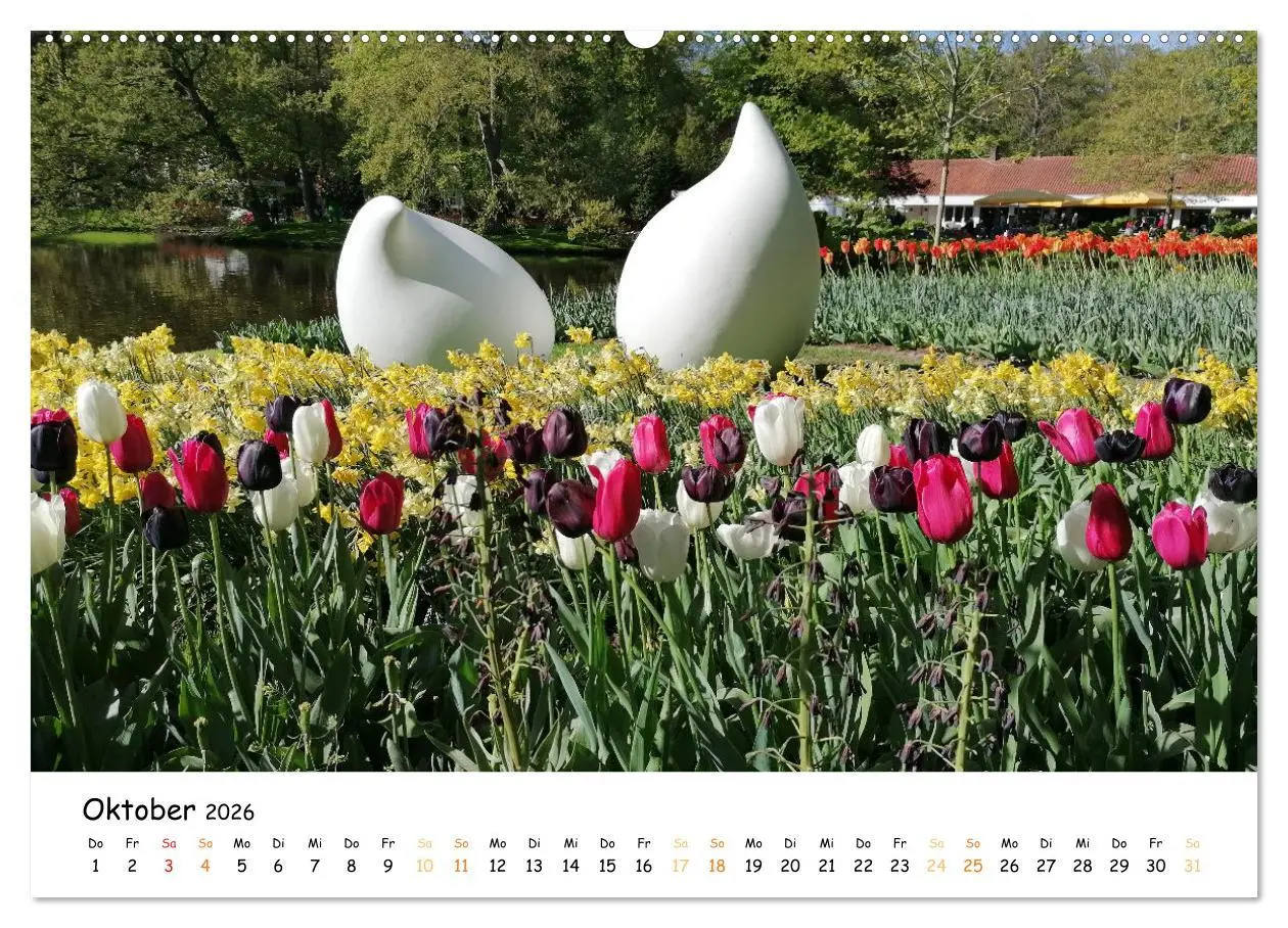 Bild: 9783457547564 | Auf Tour im Land der Tulpen (Wandkalender 2026 DIN A2 quer),...