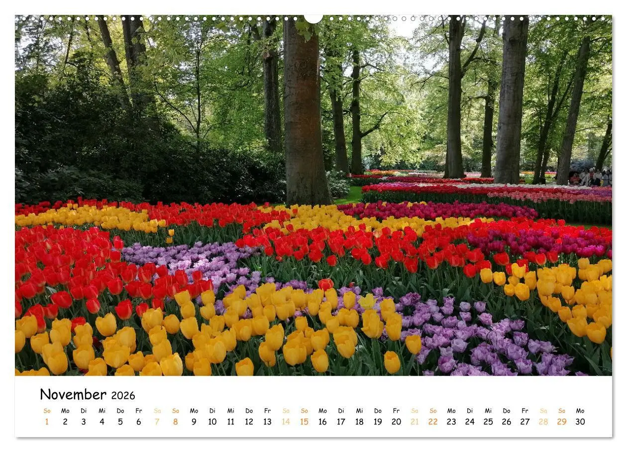 Bild: 9783457547564 | Auf Tour im Land der Tulpen (Wandkalender 2026 DIN A2 quer),...