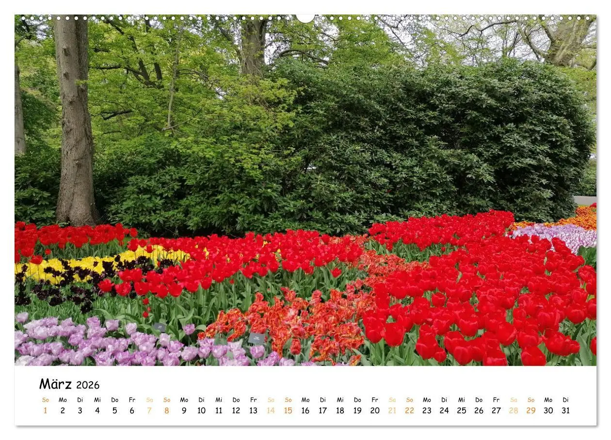 Bild: 9783457547564 | Auf Tour im Land der Tulpen (Wandkalender 2026 DIN A2 quer),...