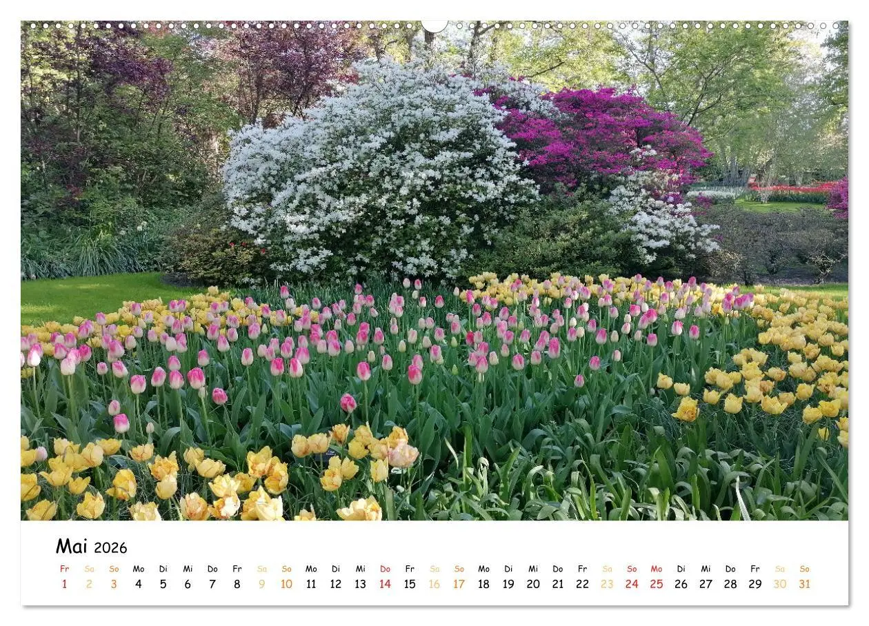 Bild: 9783457547564 | Auf Tour im Land der Tulpen (Wandkalender 2026 DIN A2 quer),...