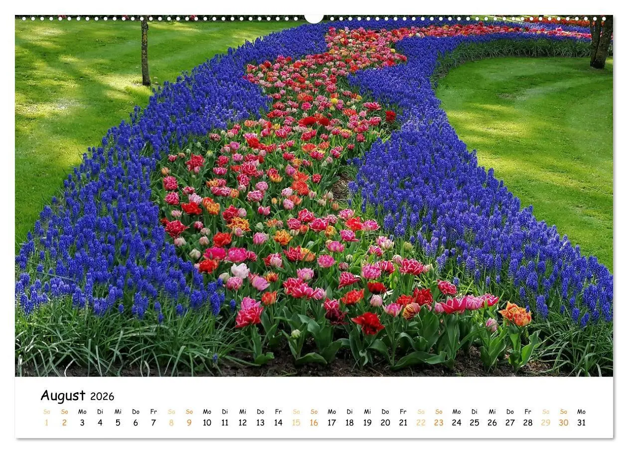 Bild: 9783457547564 | Auf Tour im Land der Tulpen (Wandkalender 2026 DIN A2 quer),...