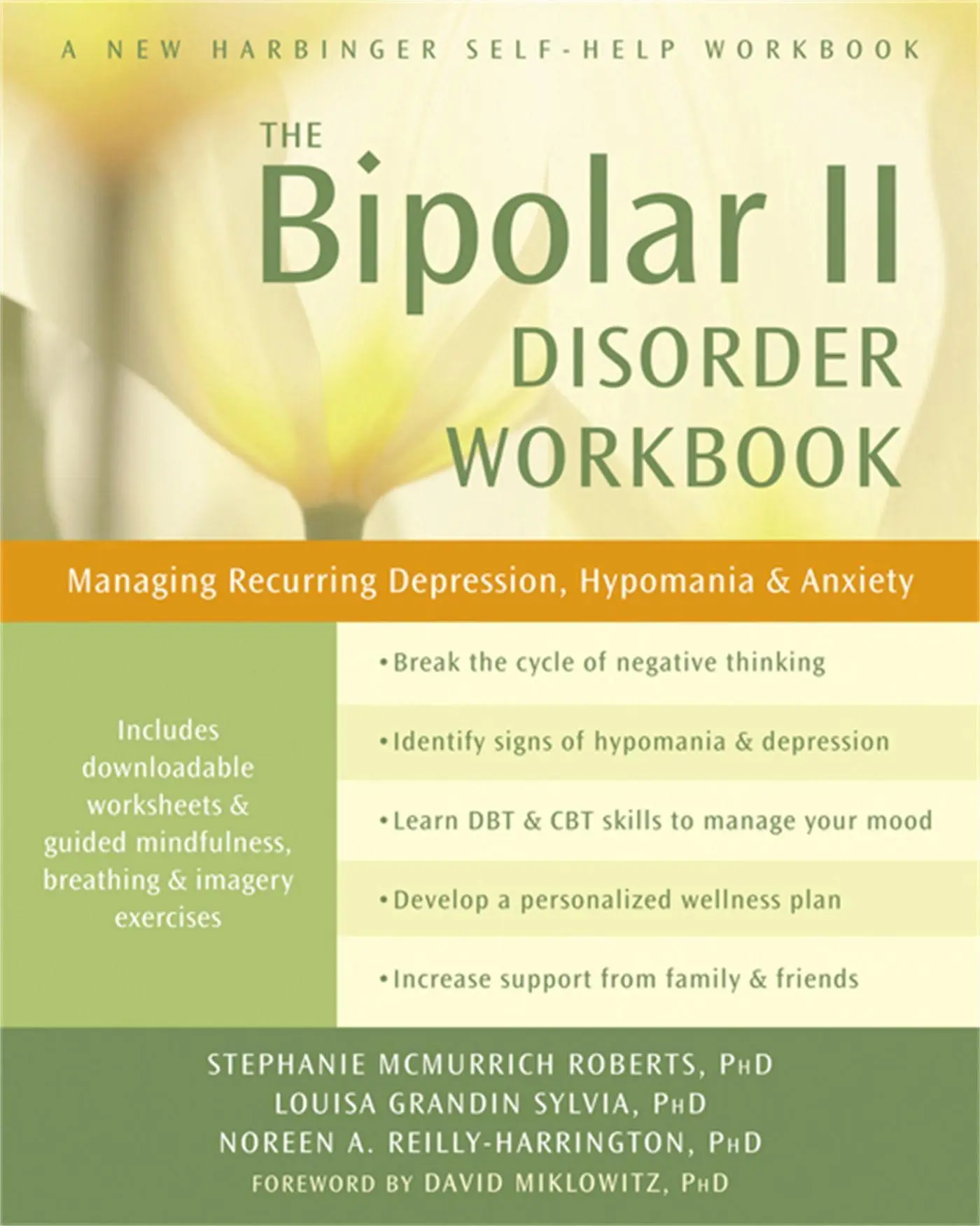 Cover: 9781608827664 | The Bipolar II Disorder Workbook | Stephanie McMurrich Roberts (u. a.)