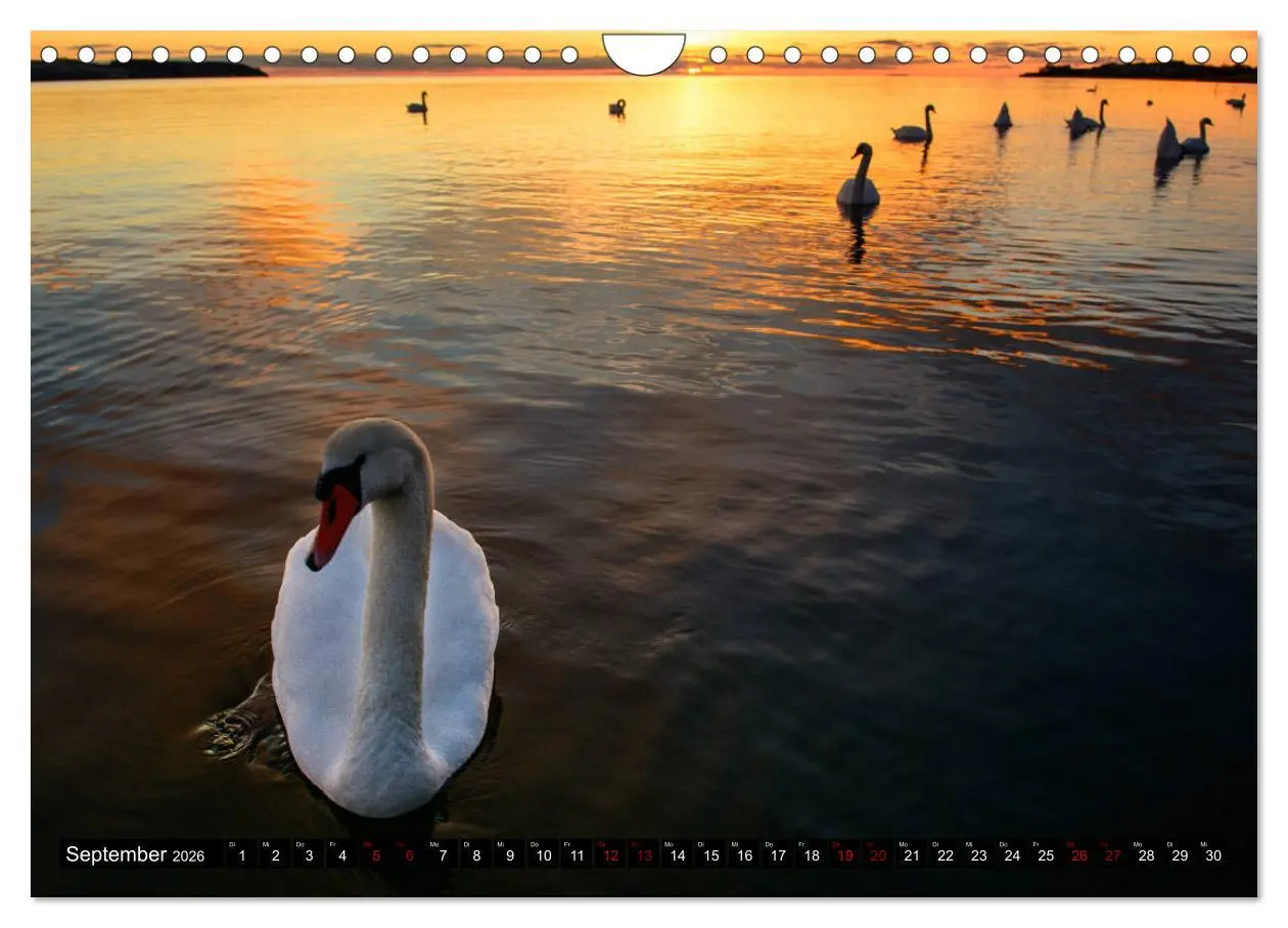 Bild: 9783457847664 | Halbinsel Mönchgut - Rügens schönste Seite (Wandkalender 2026 DIN...