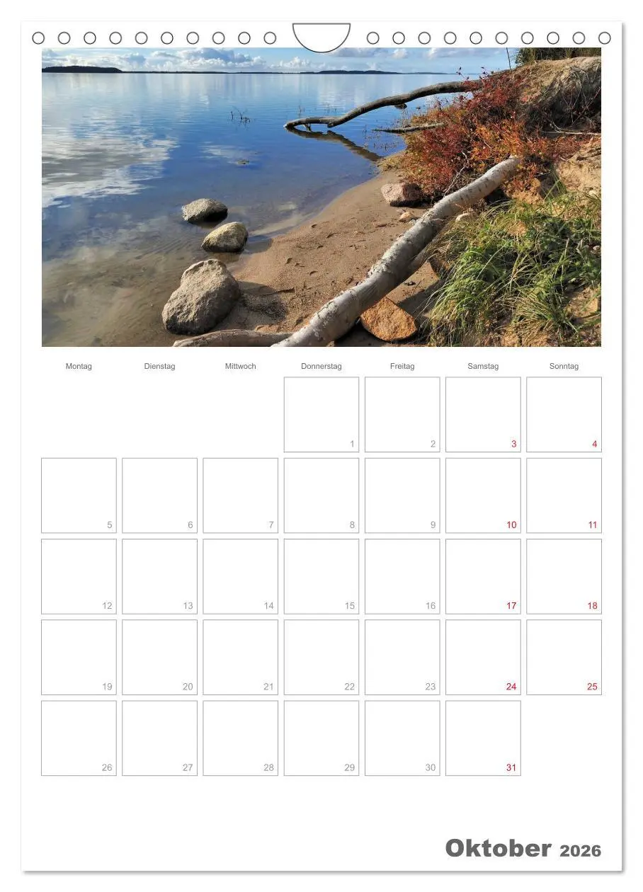 Bild: 9783516487664 | Insel Rügen / Planer (Wandkalender 2026 DIN A4 hoch), CALVENDO...