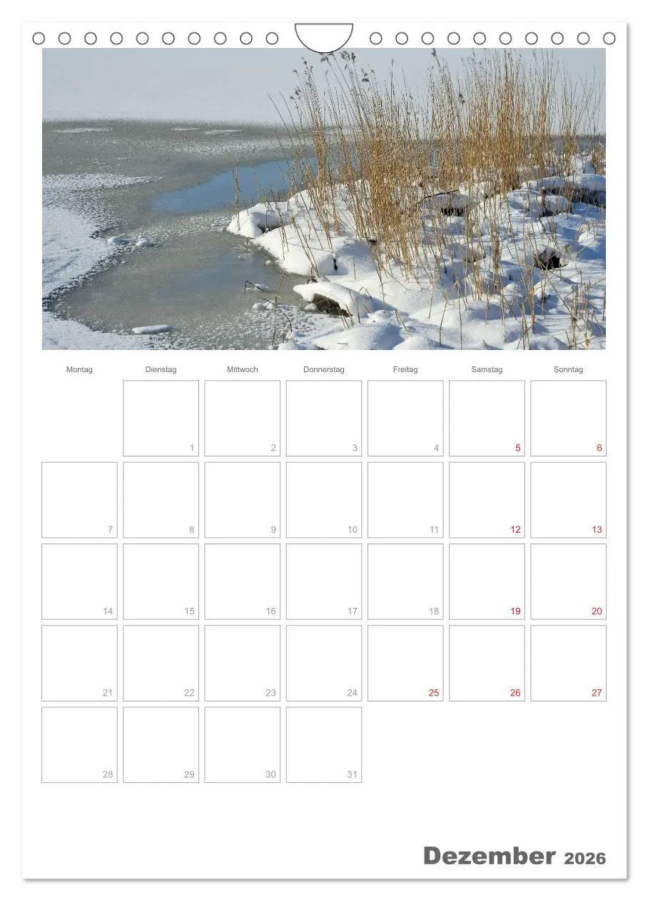 Bild: 9783516487664 | Insel Rügen / Planer (Wandkalender 2026 DIN A4 hoch), CALVENDO...