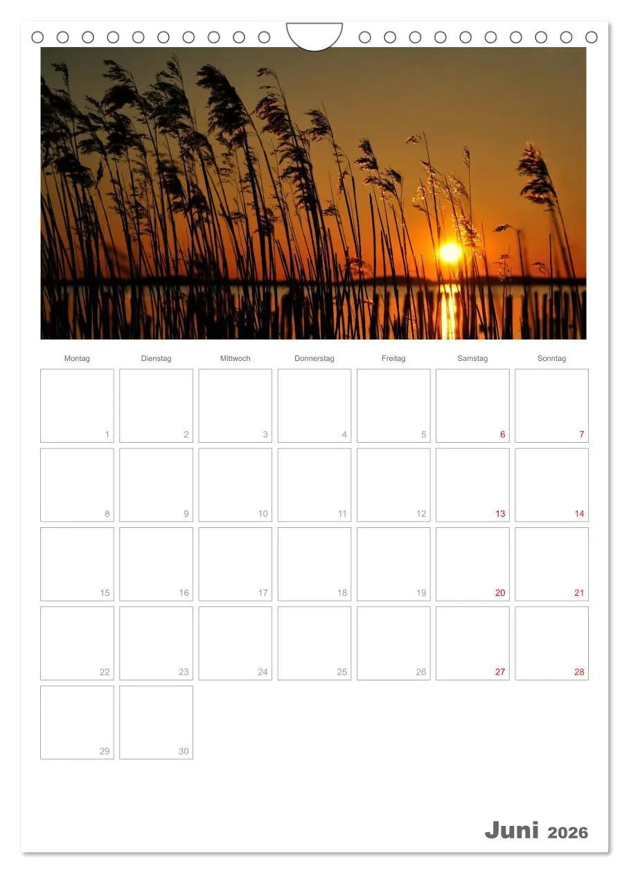 Bild: 9783516487664 | Insel Rügen / Planer (Wandkalender 2026 DIN A4 hoch), CALVENDO...