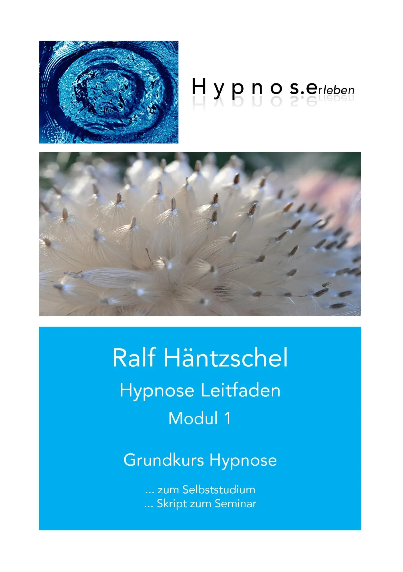 Hypnose Leitfaden Modul 1: Grundkurs Hypnose (Hypnose Leitfaden in drei Modulen)