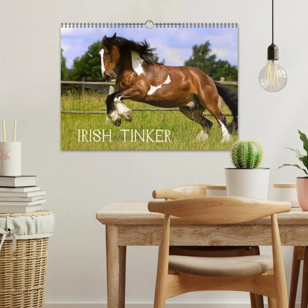 Bild: 9783435747764 | Irish Tinker (Wandkalender 2025 DIN A3 quer), CALVENDO Monatskalender