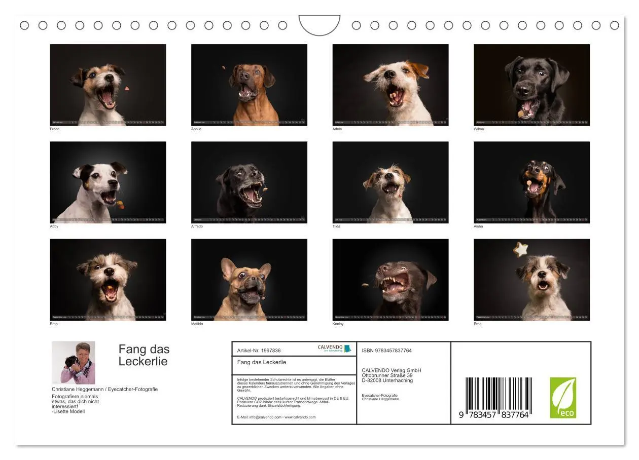 Bild: 9783457837764 | Fang das Leckerlie (Wandkalender 2026 DIN A4 quer), CALVENDO...