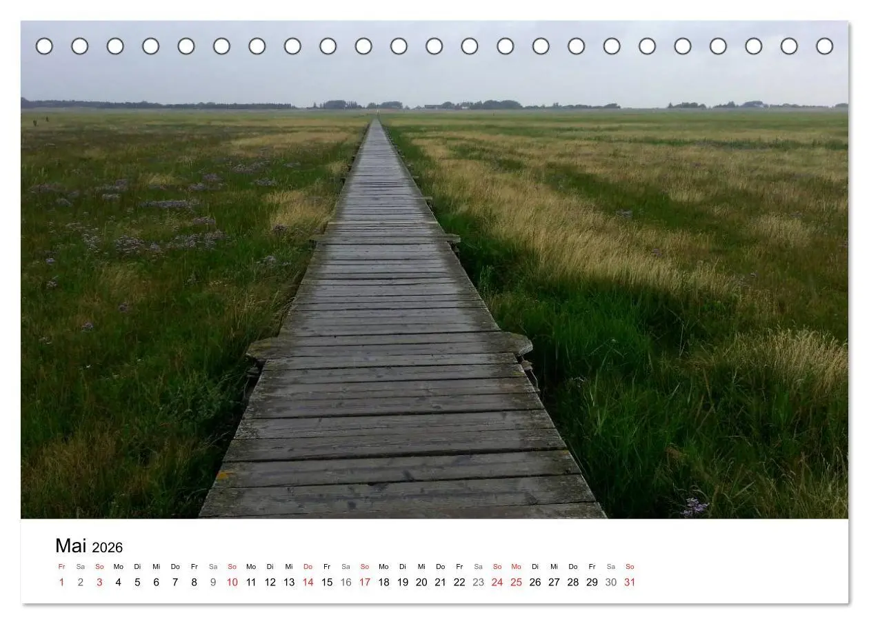 Bild: 9783516157864 | St. Peter Ording 2026 (Tischkalender 2026 DIN A5 quer), CALVENDO...
