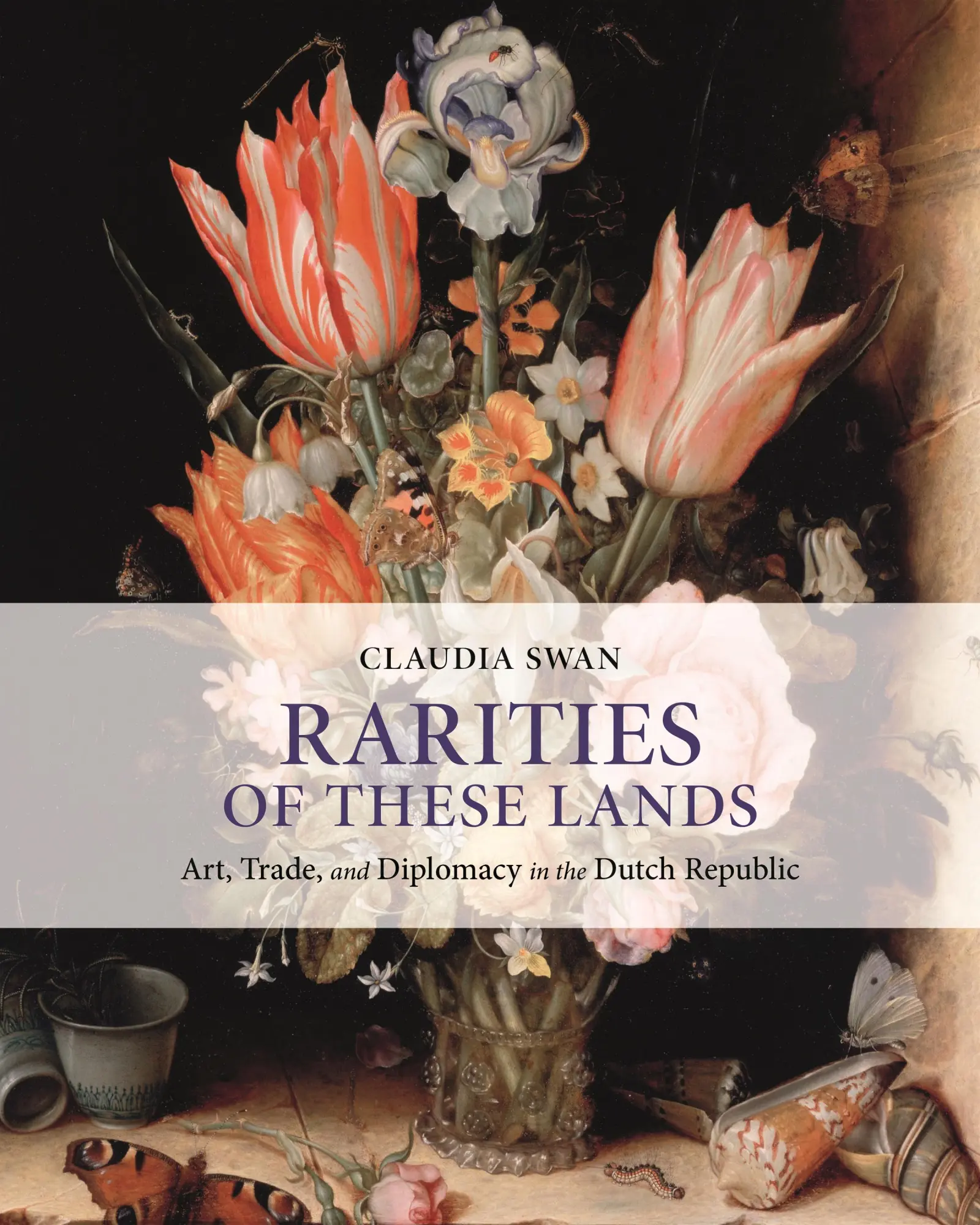 Cover: 9780691207964 | Rarities of These Lands | Claudia Swan | Buch | Gebunden | Englisch