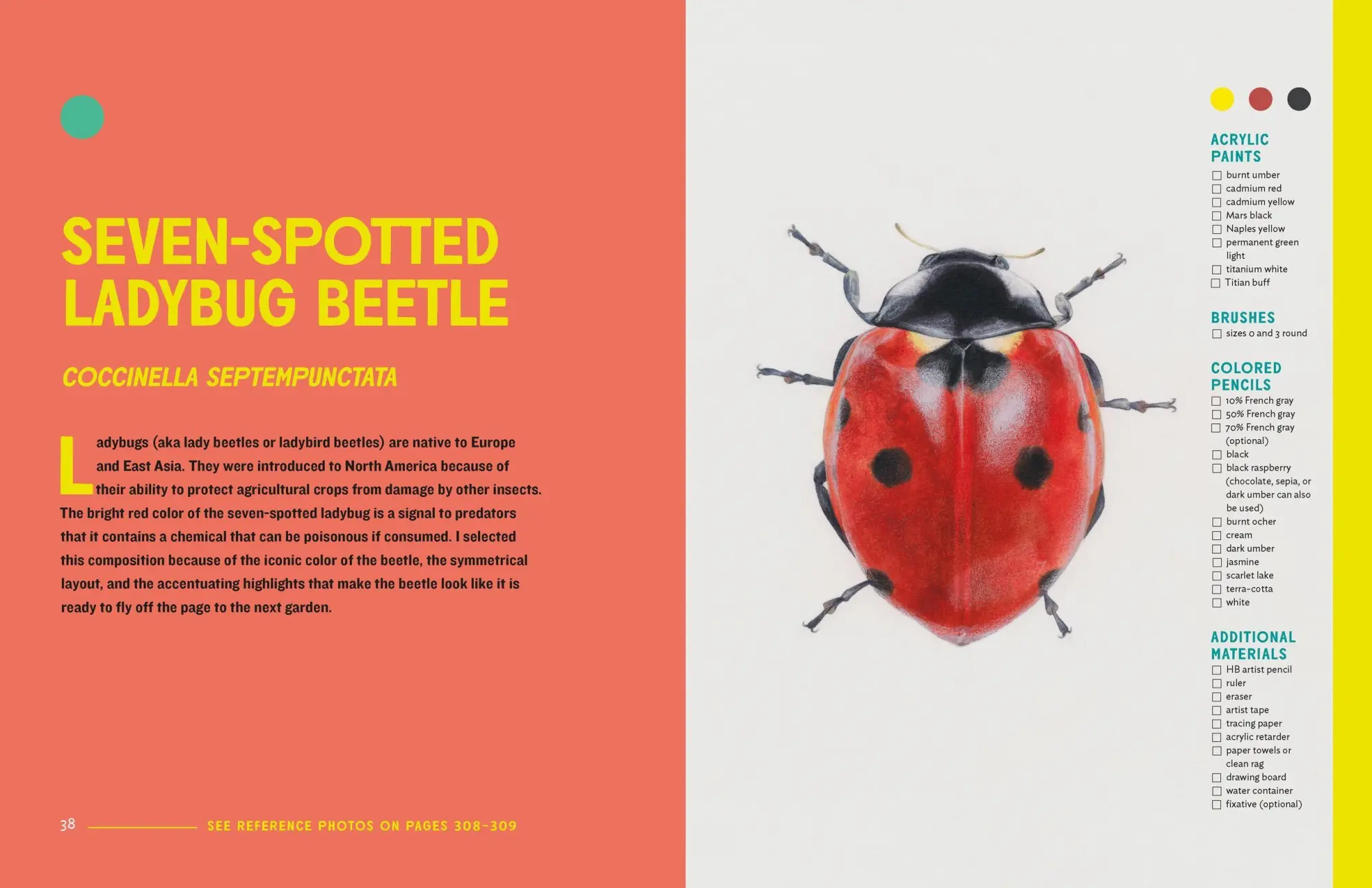Bild: 9781604697964 | The Insect Artist | Zebith Stacy Thalden | Taschenbuch | Englisch