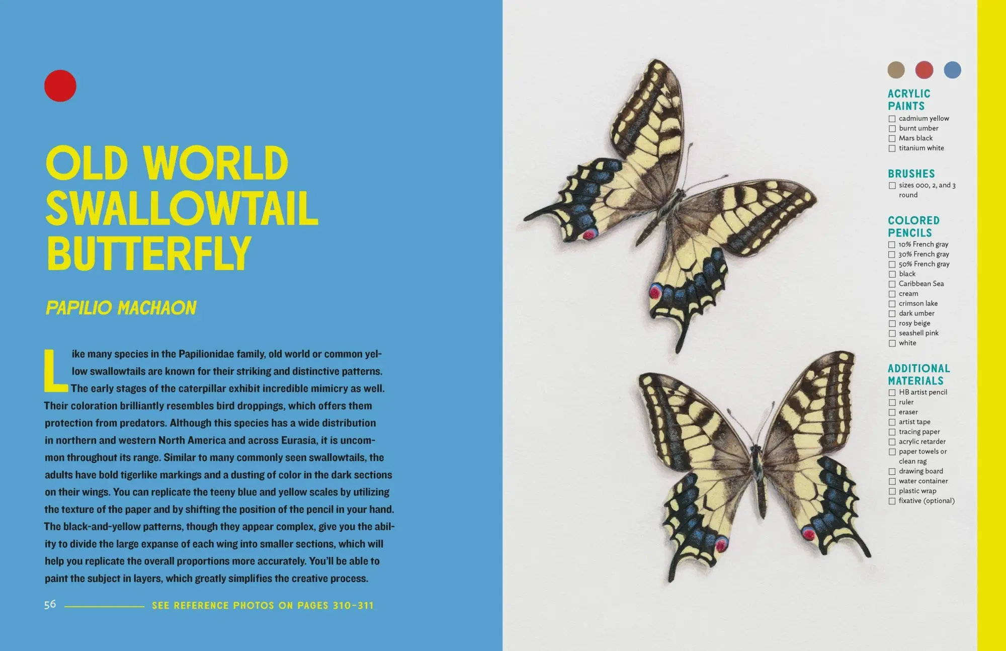Bild: 9781604697964 | The Insect Artist | Zebith Stacy Thalden | Taschenbuch | Englisch