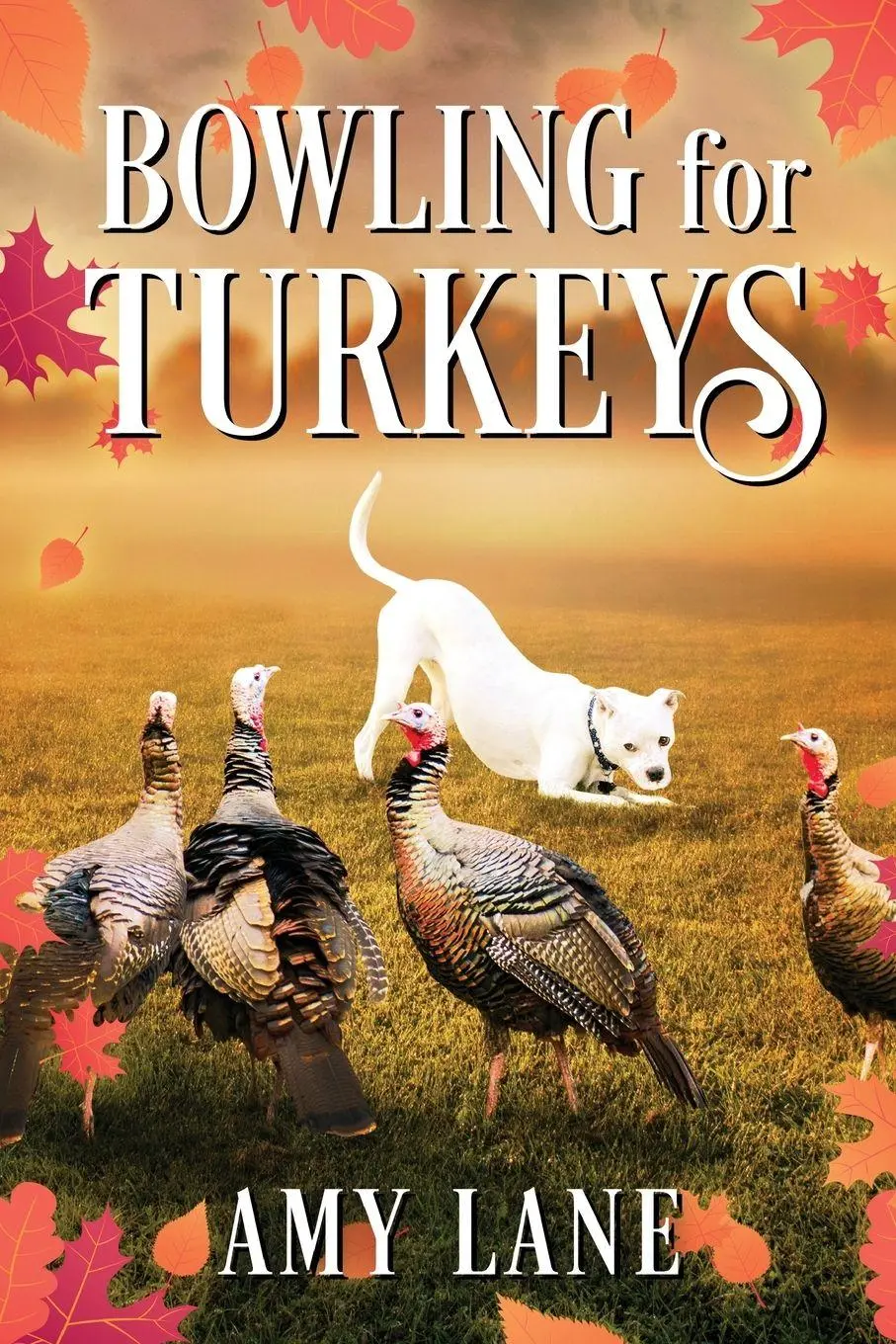 Cover: 9781641087964 | Bowling for Turkeys | Amy Lane | Taschenbuch | Englisch | 2024