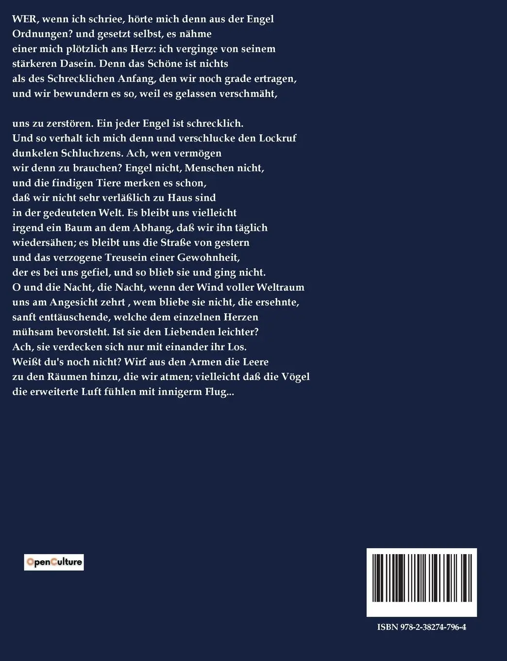 Rückseite: 9782382747964 | Duineser Elegien | Rainer Maria Rilke | Taschenbuch | 34 S. | Deutsch