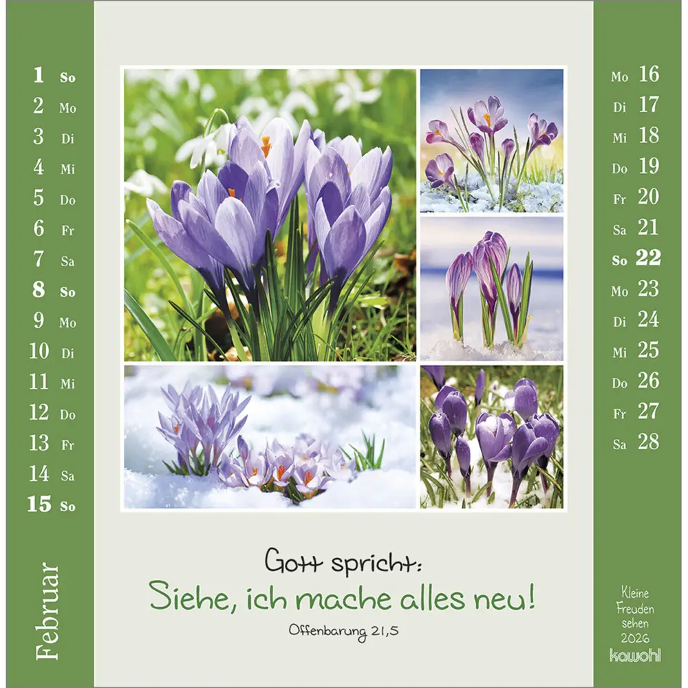 Bild: 9783754817964 | Kleine Freuden sehen 2026 | Postkarten-Kalender mit Bildcollagen