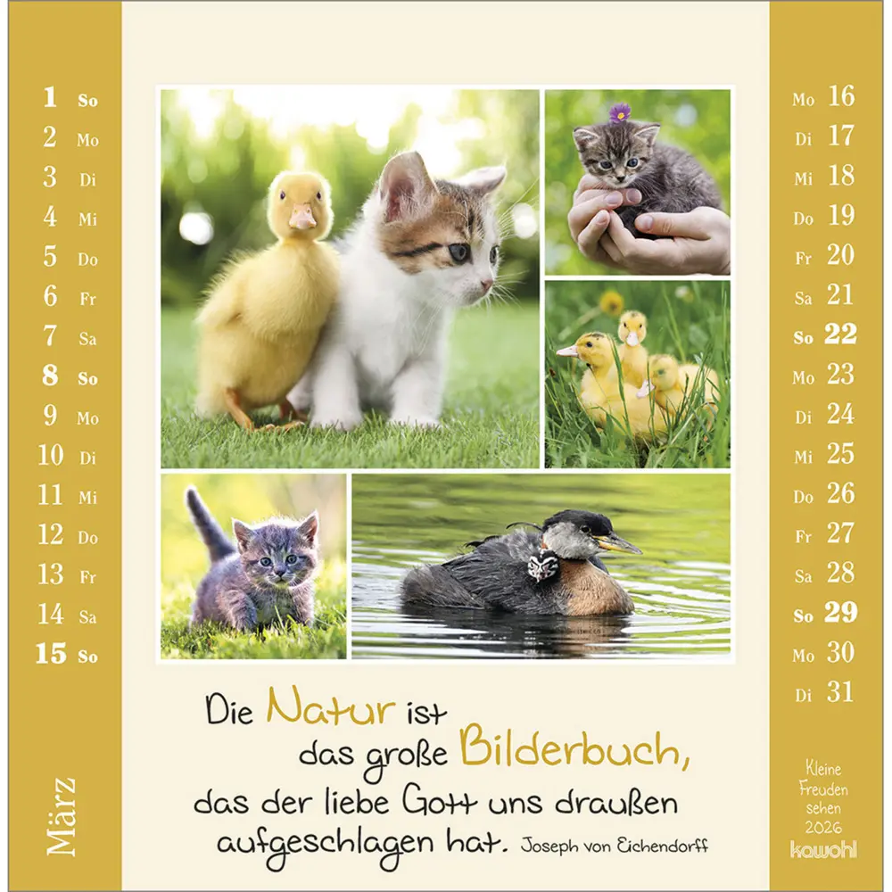 Bild: 9783754817964 | Kleine Freuden sehen 2026 | Postkarten-Kalender mit Bildcollagen