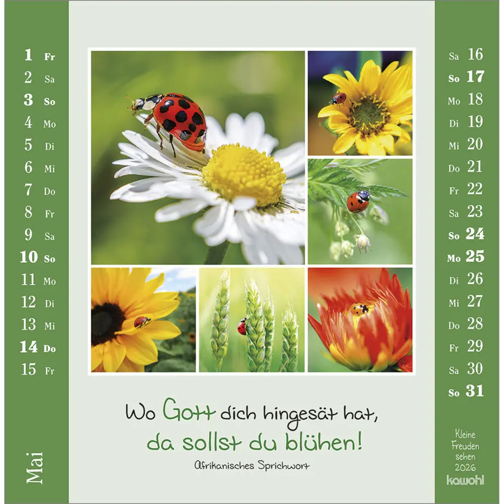 Bild: 9783754817964 | Kleine Freuden sehen 2026 | Postkarten-Kalender mit Bildcollagen