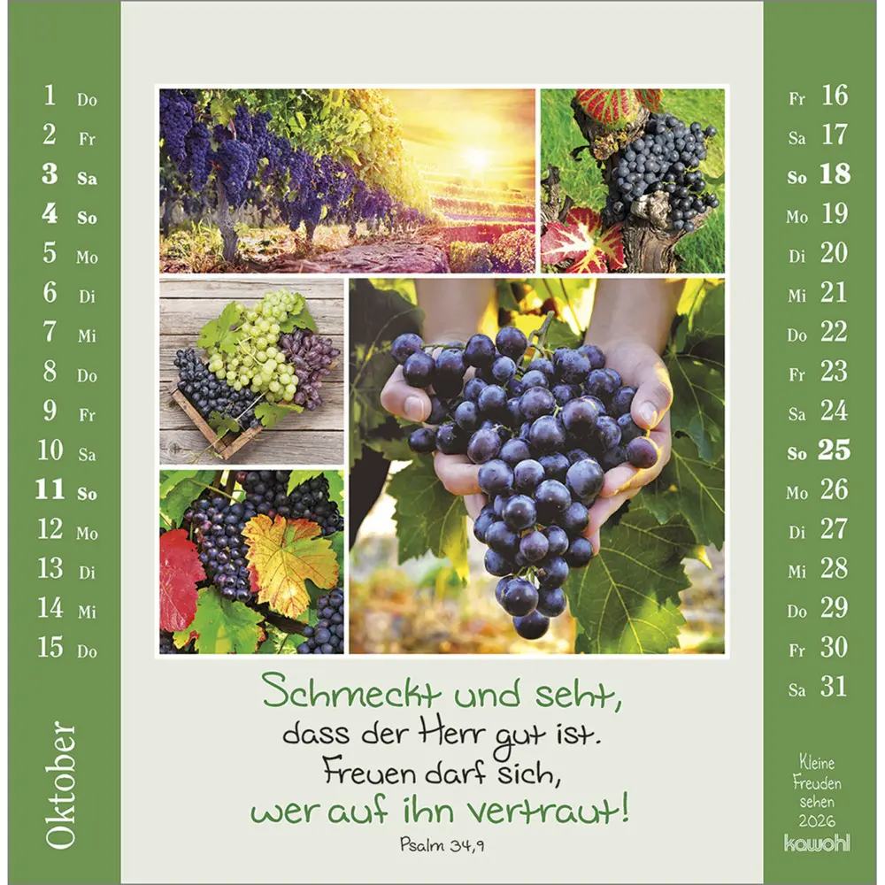 Bild: 9783754817964 | Kleine Freuden sehen 2026 | Postkarten-Kalender mit Bildcollagen