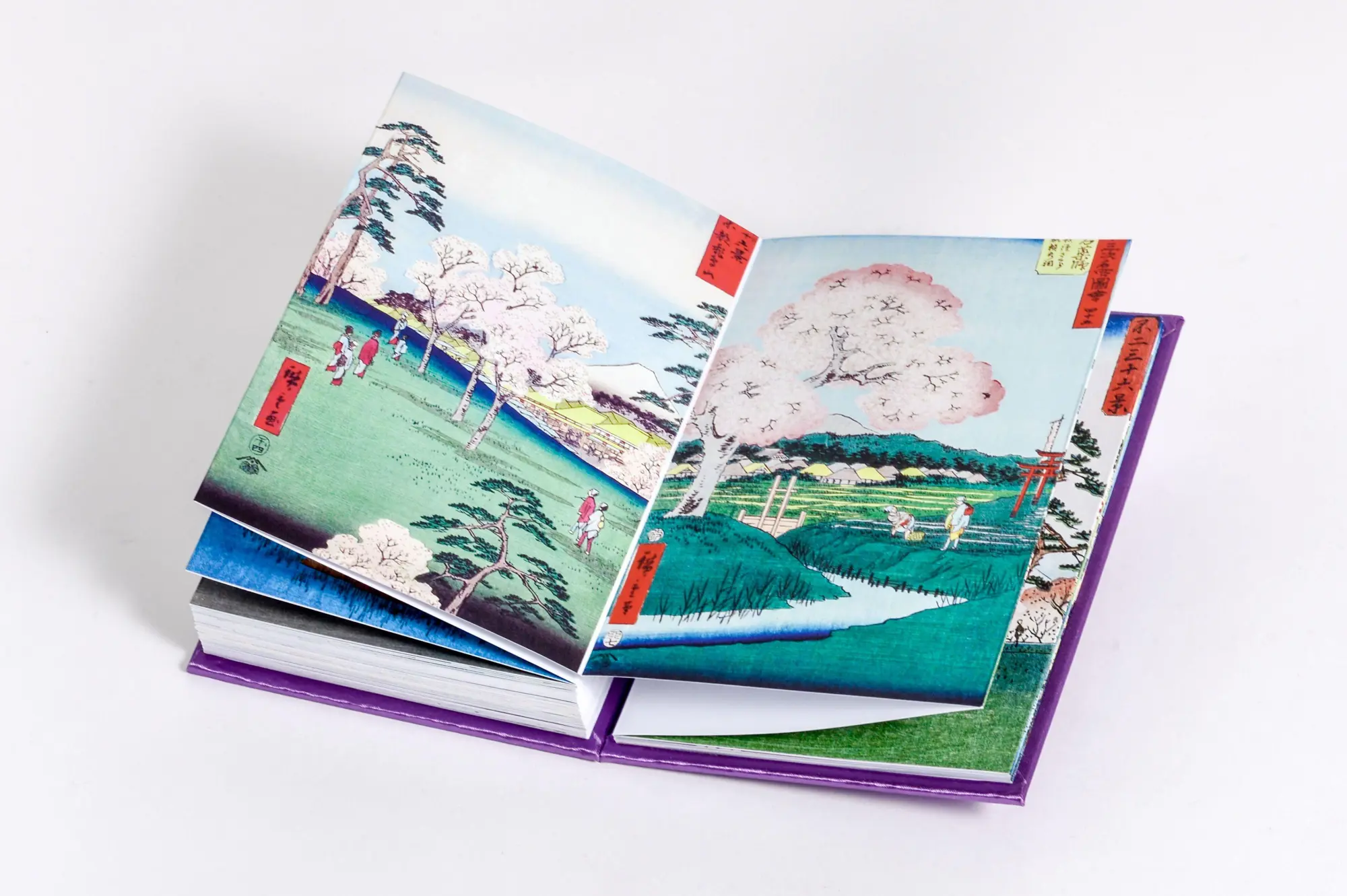 Bild: 9783791377964 | Frühling | Jocelyn Bouquillard | Buch | Kunst-Leporello | 226 S.