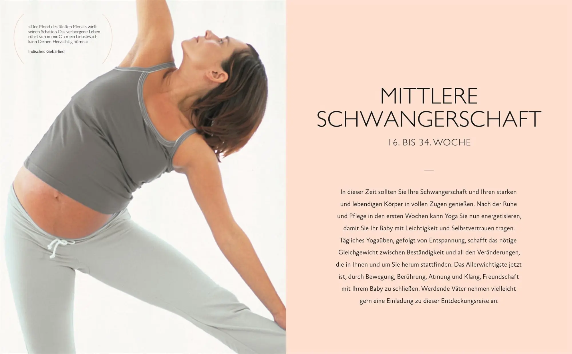 Bild: 9783831037964 | Yoga in der Schwangerschaft | Francoise Barbira Freedman | Taschenbuch