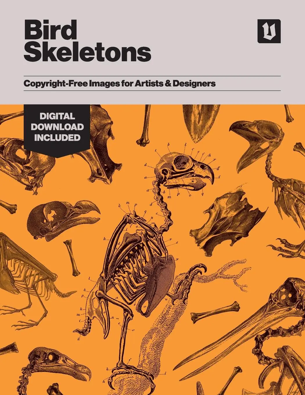 Cover: 9781925968064 | Bird Skeletons | Copyright-Free Images for Artists &amp; Designers | James