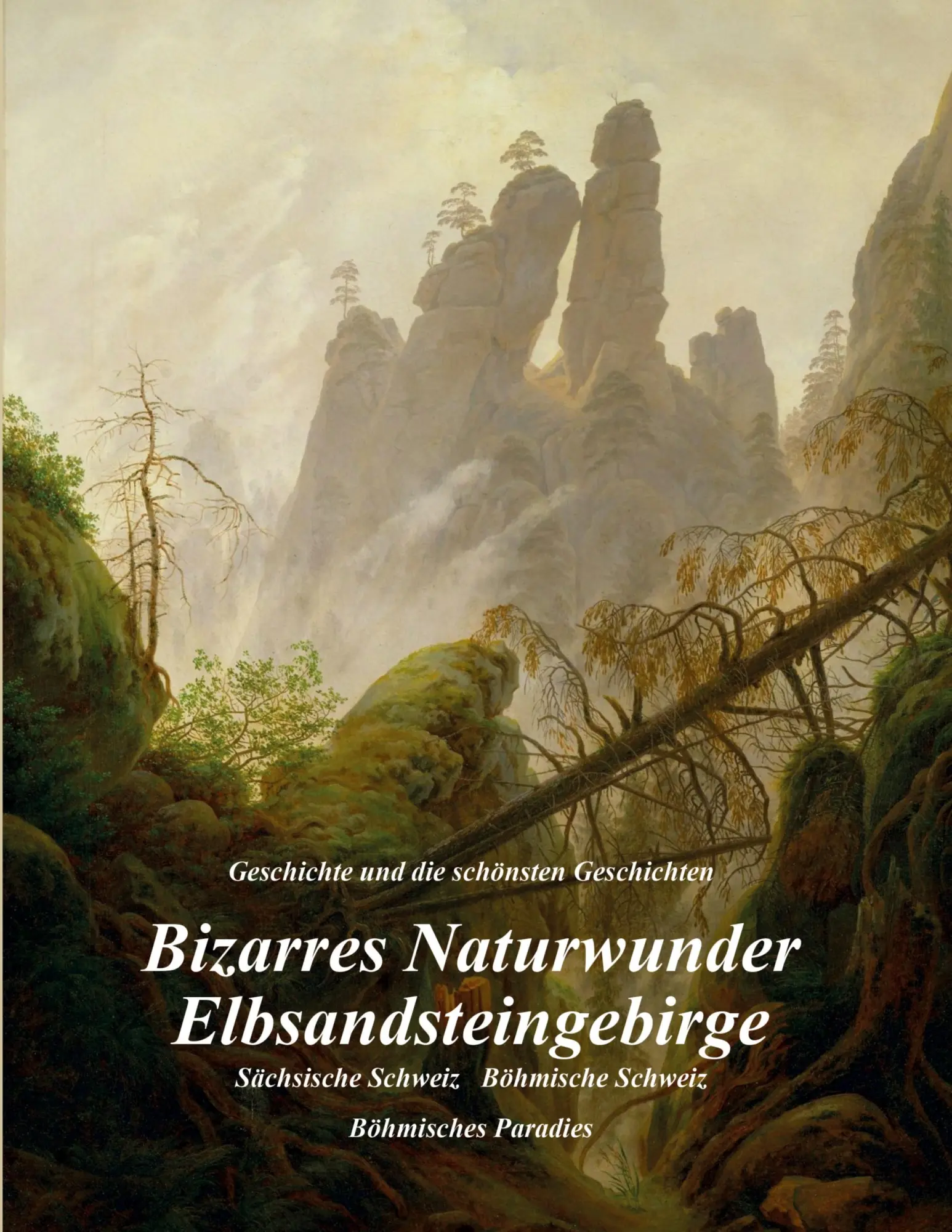 Cover: 9783347128064 | Bizarres Naturwunder Elbsandsteingebirge | Ulrich Metzner | Buch