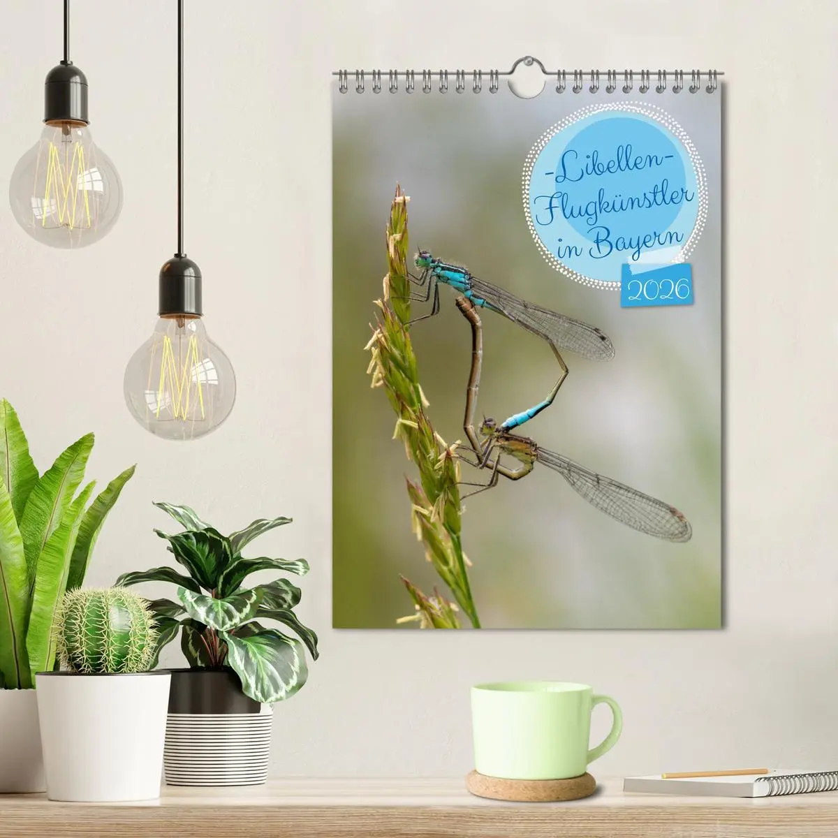 Bild: 9783457258064 | Libellen - Flugkünstler in Bayern (Wandkalender 2026 DIN A4 hoch),...