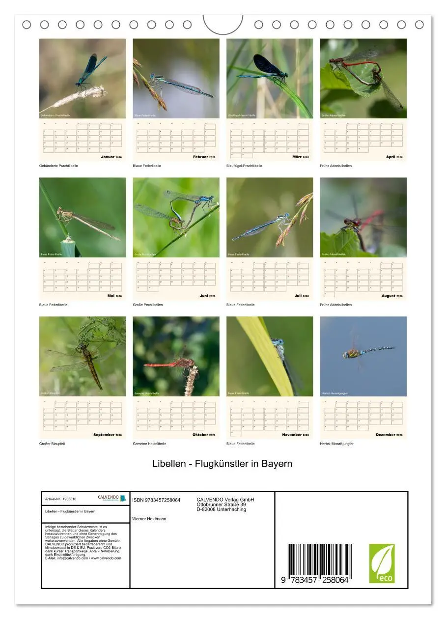 Bild: 9783457258064 | Libellen - Flugkünstler in Bayern (Wandkalender 2026 DIN A4 hoch),...