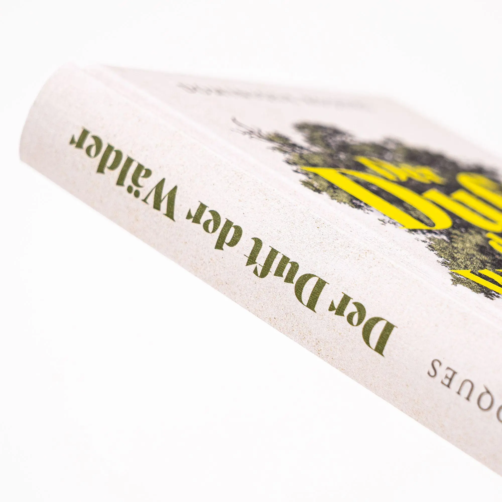 Bild: 9783365008164 | Der Duft der Wälder. Von Menschen und Bäumen | Dominique Roques | Buch