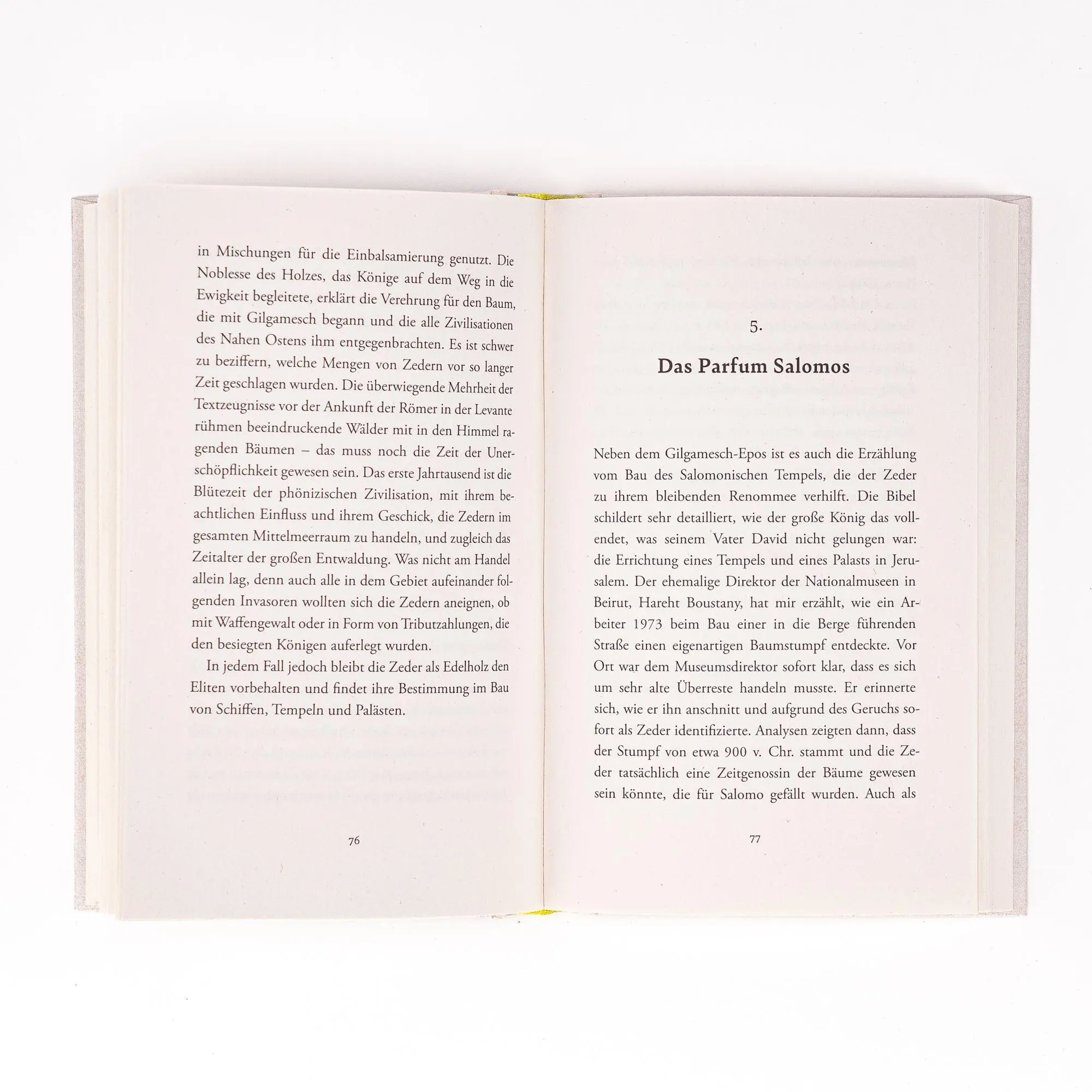 Bild: 9783365008164 | Der Duft der Wälder. Von Menschen und Bäumen | Dominique Roques | Buch