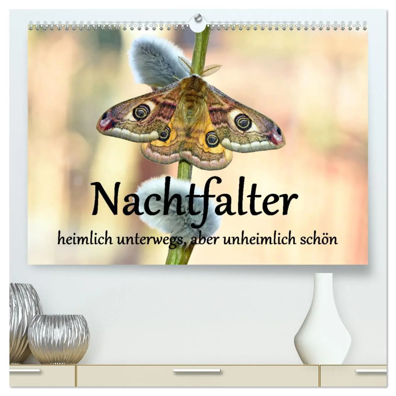Cover: 9783457488164 | Nachtfalter - heimlich unterwegs, aber unheimlich schön...