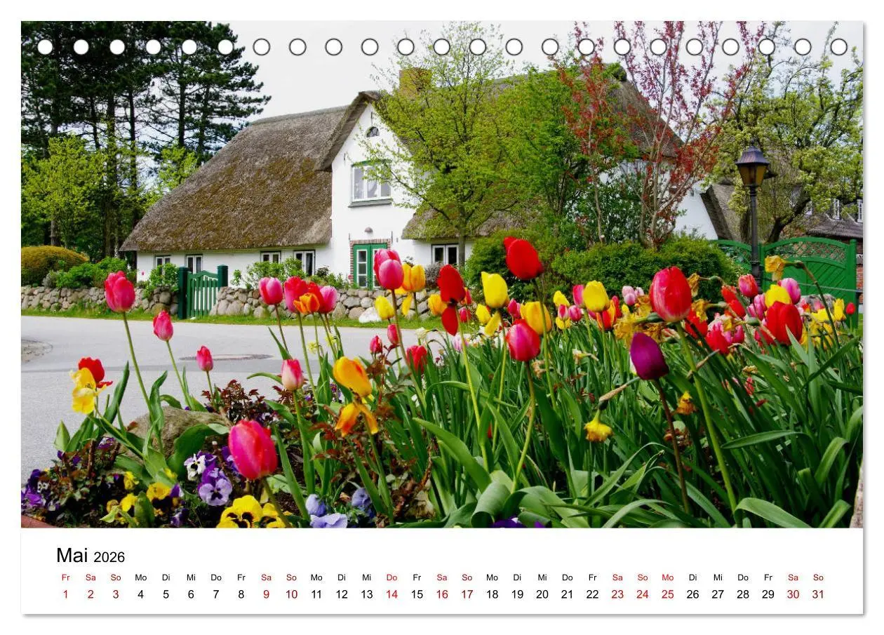 Bild: 9783457868164 | Insel Amrum - Ein Juwel unterm norddeutschen Himmel (Tischkalender...