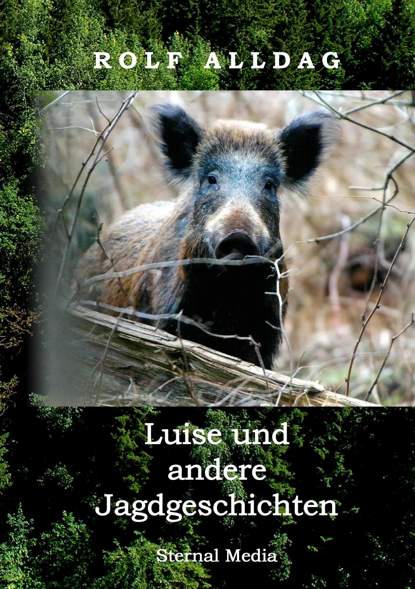 Cover: 9783749468164 | Luise und andere Jagdgeschichten | Rolf Alldag | Taschenbuch | 208 S.