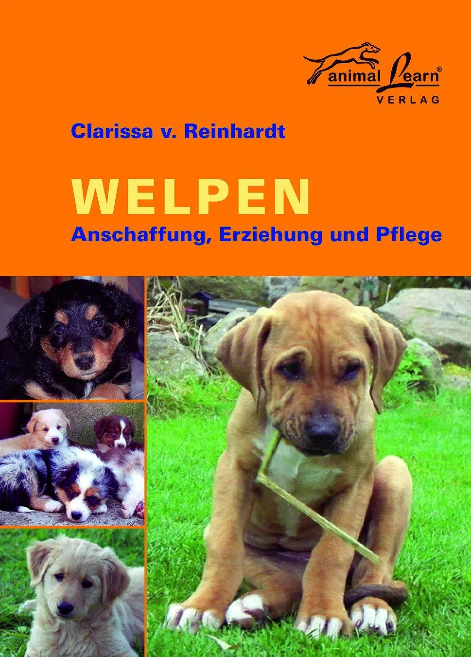 Cover: 9783936188264 | Welpen | Anschaffung, Erziehung und Pflege | Clarissa von Reinhardt
